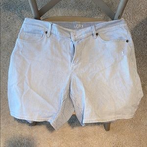 Loft Shorts